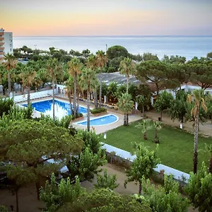 Bellsol Spain